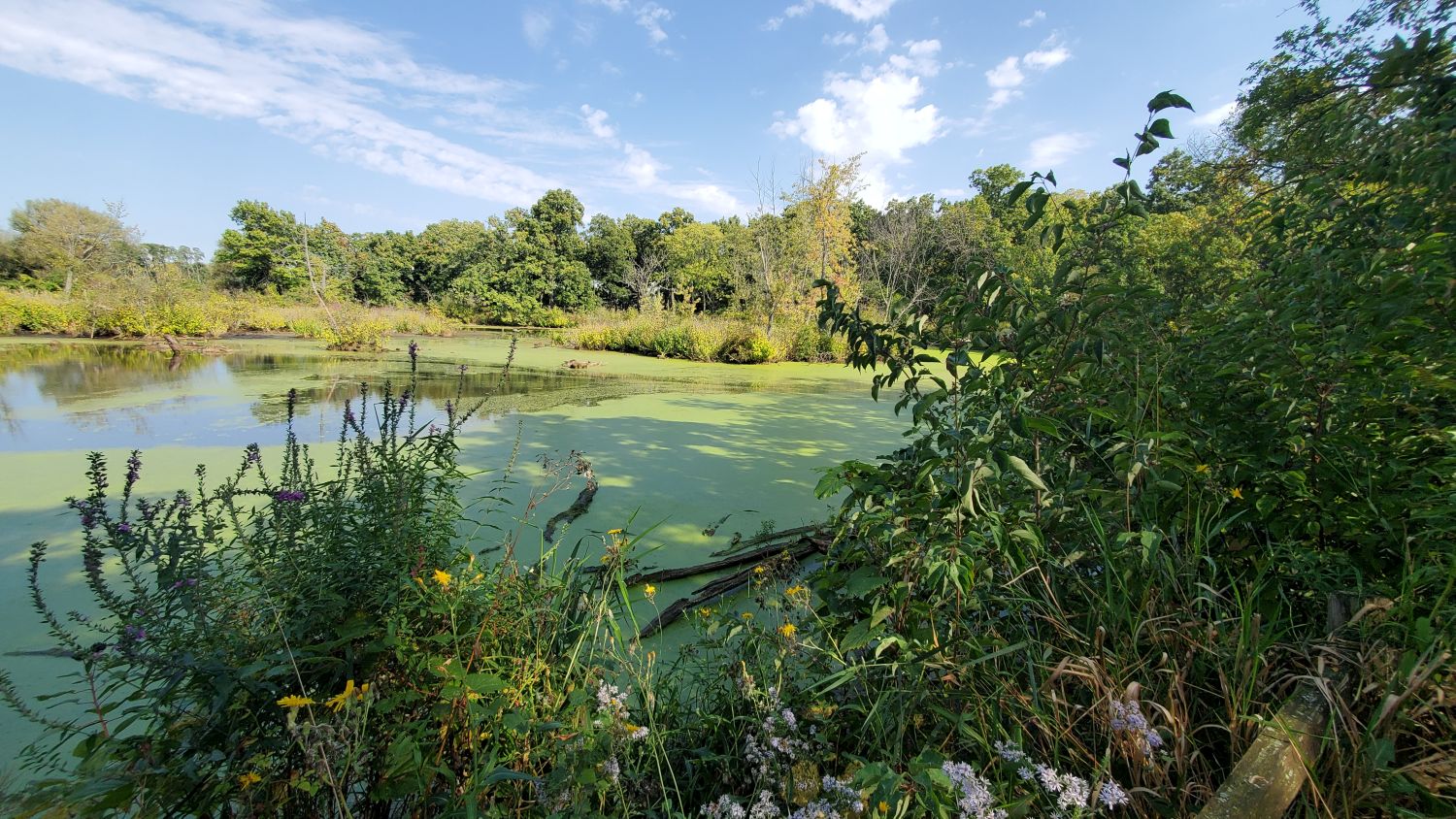 Crab Tree Nature Center 